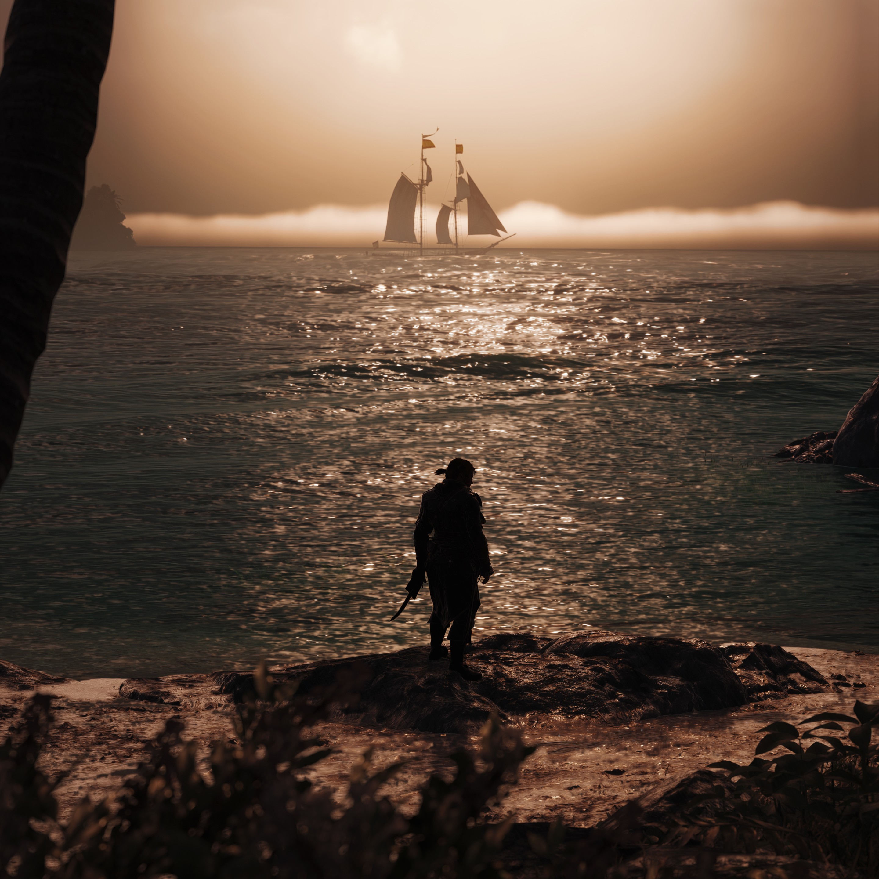 blackflag