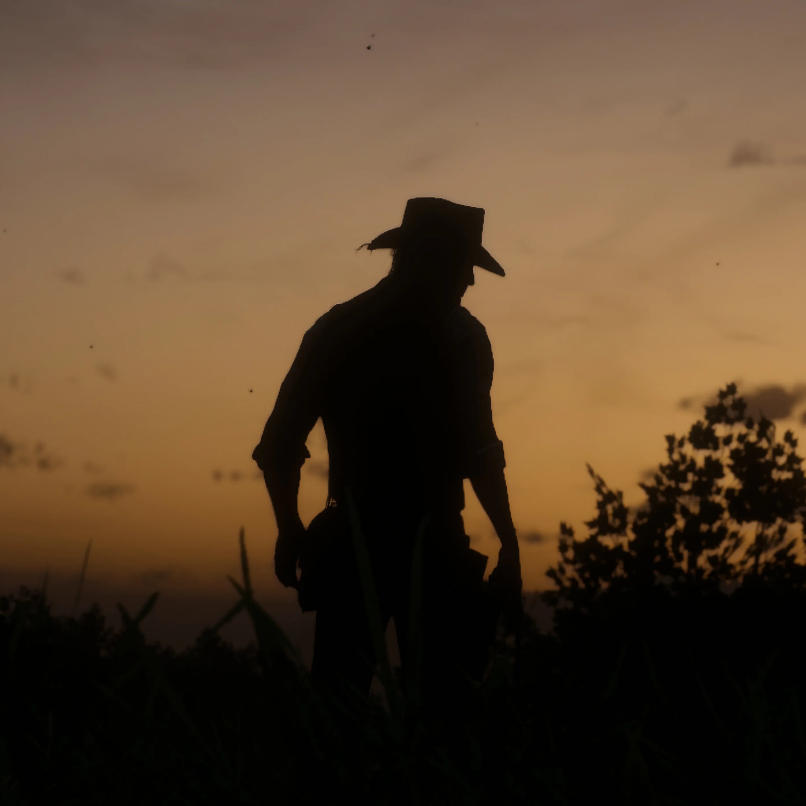reddeadredemption2